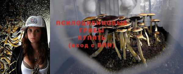 тгк Баксан