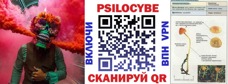 купить   Великий Устюг  Псилоцибиновые грибы Psilocybe 