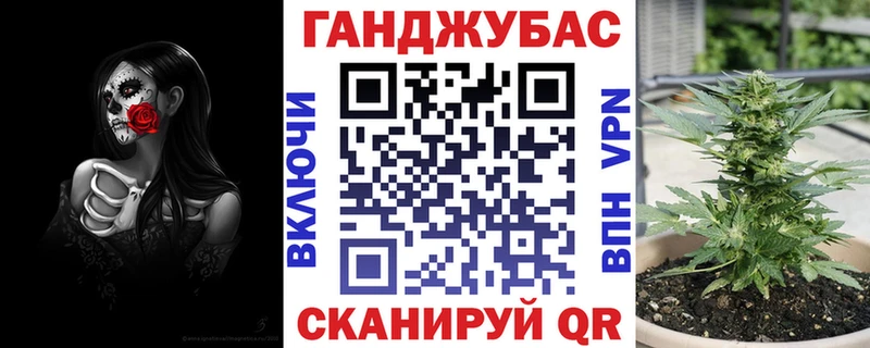 купить наркотик  ссылка на мегу зеркало  Бошки Шишки сатива  сайты даркнета состав  Великий Устюг 